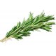 Rosemary pure and natural essential oil RO91430 1 KG